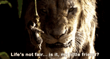 The Lion King Scar GIF
