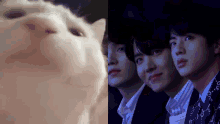 Ally69wow Jin Cat GIF - Ally69wow Jin Cat Seokjin Cat GIFs