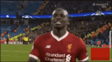 Liverpool Fans Fc Excited GIF - Liverpool Fans Fc Excited Yes GIFs