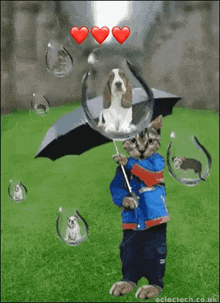 Raining Cats And Dogs GIF