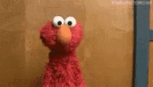 elmo from sesame street is standing in front of a brown wall and looking at the camera .