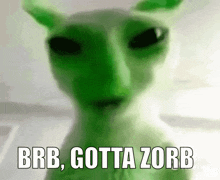 a green cat with the words brb gotta zorb written on it
