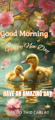 two ducklings are swimming in a pond with flowers in the background and the words good morning happy new day