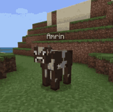 Amrin Cow GIF