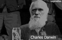 Charles Darwin Approves Gif Vagonettas GIF