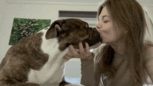 a woman is kissing a brown and white dog