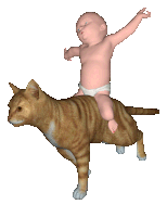 a baby in a diaper rides on the back of a cat