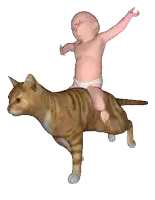 a baby in a diaper rides on the back of a cat