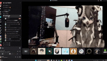 a computer screen with a picture of a cat and a microphone on it