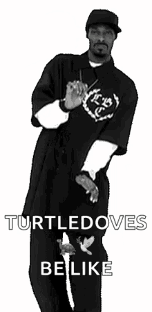 Td Turtledove GIF - Td Turtledove Turtle GIFs