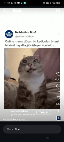 a phone screen shows a cat with its mouth open and the words " ne izlettiniz bize " at the top