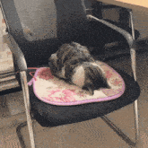 Sleeping Cat GIF - Sleeping Cat Cat Sleep GIFs