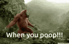 Monkey When You Poop GIF - Monkey When You Poop Dancing GIFs