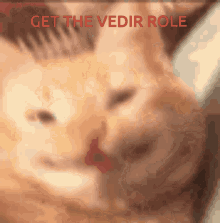 Vedir Role GIF - Vedir Role GIFs