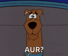 Confused Wat GIF - Confused Wat Scooby Doo GIFs