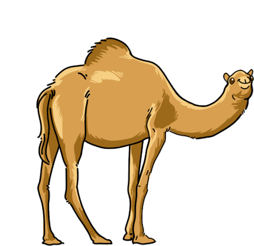 Camel Dromedary Sticker - Camel Dromedary Stickers