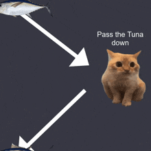 a cat is sitting next to a tuna with an arrow pointing to it that says " pass the tuna down "