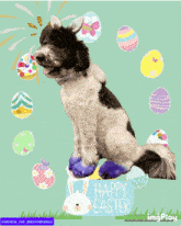Dog Dog Easter GIF - Dog Dog Easter Dog Happy Easter GIFs