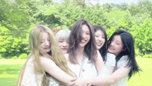 a group of young women are hugging each other in a field .