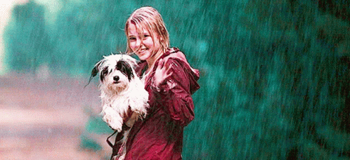 Bridge To GIF - Bridge To Terabithia - Discover & Share GIFs