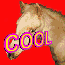 Horse Cool GIF - Horse Cool GIFs