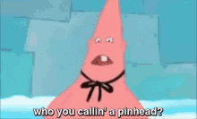 patrick star spongebob pin head mocking who you calling