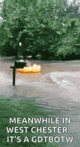 a flooded street with a mailbox in the middle of it and a duck in the water .