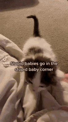 Stupid Baby Stupid Baby Corner GIF - Stupid Baby Stupid Baby Corner Baby GIFs