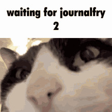 Journalfry Sequel GIF - Journalfry Sequel Cat GIFs