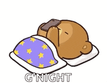 Night Bear GIF - Night Bear Sleep GIFs