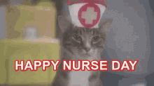 happy nurse day nurse day happy nurse funny animal cat