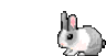 Rabbit Hare Sticker - Rabbit Hare Bun Bun Stickers