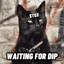 Tox Tox Token GIF - Tox Tox Token Toxer GIFs