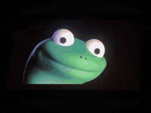 a green frog with big white eyes is looking at the camera