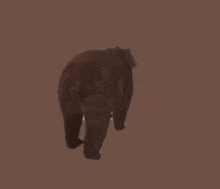 Spinning Bear GIF
