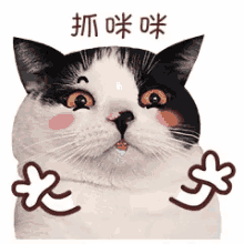 Emoji Cat GIF - Emoji Cat Drool GIFs