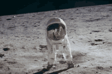 Amogus On Space Amogus On Moon GIF - Amogus On Space Amogus On Moon GIFs