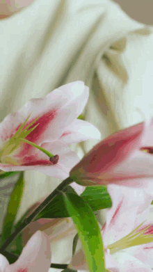 Cute Flower GIF - Cute Flower GIFs