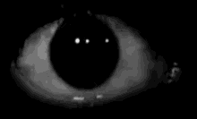 a close up of a person 's eye with a black background .