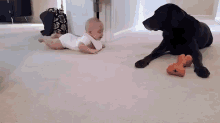 Lick A Baby GIF - Lick Baby Cute GIFs