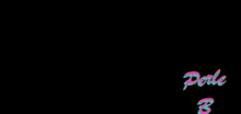 a drawing of a heart shaped vase with flowers and the words love and perle