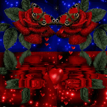 Szerelem Red Roses GIF - Szerelem Red Roses GIFs