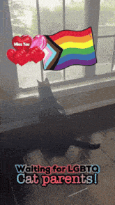 a cat is sitting in front of a window with hearts and a rainbow flag above it