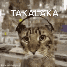 Takalaka GIF - Takalaka GIFs