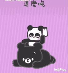 不回信息晚上 Panda GIF - 不回信息晚上 Panda Cellphone GIFs