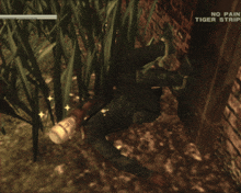 a screenshot of a video game that says no pain tiger stripes on it