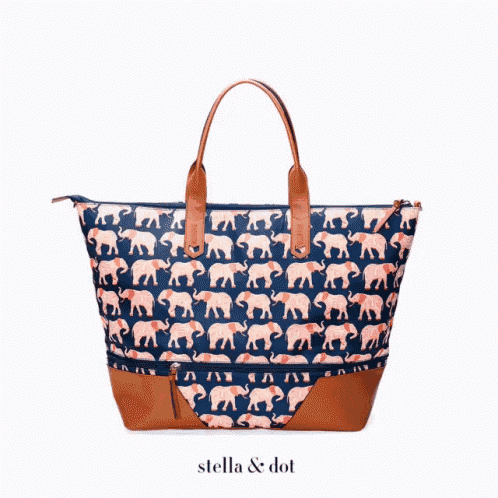 Stella and hot sale dot tote