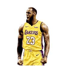 james lakers