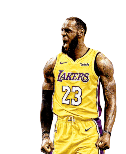 Le Bron James King Sticker - Le Bron James King Lakers Stickers