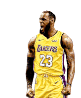 Le Bron James King Sticker - Le Bron James King Lakers Stickers